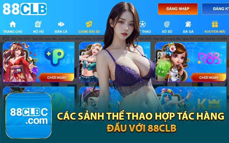 Các Sảnh Thể Thao Hợp Tác Hàng Đầu Với 88CLB